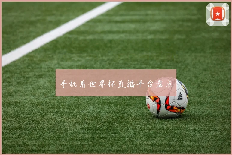 手机看世界杯直播平台盘点