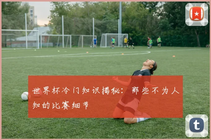 世界杯冷门知识揭秘:那些不为人知的比赛细节